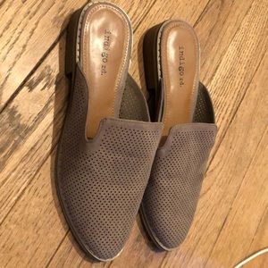 Indigo rd. Size 5.5 Mules